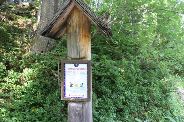 RUTA DEL ENANITO DE MUGGESTUTZ-AARESCHLUCHT-HARDER KULM - ATRACÓN DE ALPES SUIZOS, TOQUES DE FRANCIA E ITALIA (2)