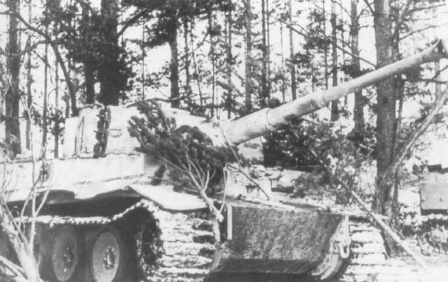 Tiger oculto en la linde de un bosque. Probablemente pertenezca al S. Pz. Abt. 506. Abril 1944