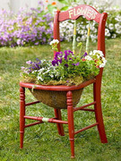 [Image: unique_ideas_for_planting_flower_in_old_chair.jpg]