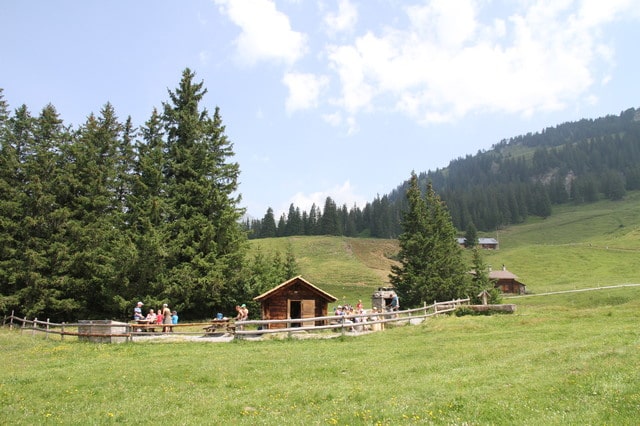 RUTA DEL ENANITO DE MUGGESTUTZ-AARESCHLUCHT-HARDER KULM - ATRACÓN DE ALPES SUIZOS, TOQUES DE FRANCIA E ITALIA (8)