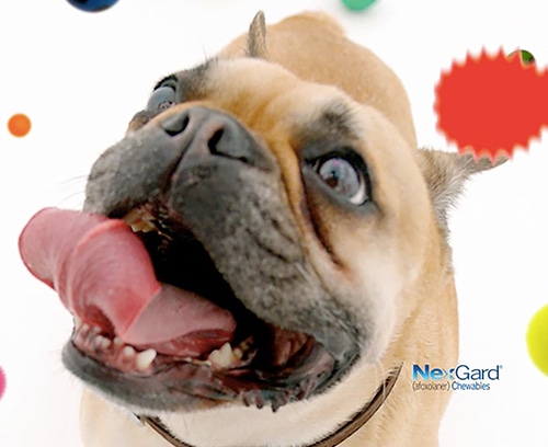Saatchi & Saatchi Wellness