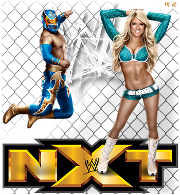 WWE Nxt(14/11/2014) ITA Streaming