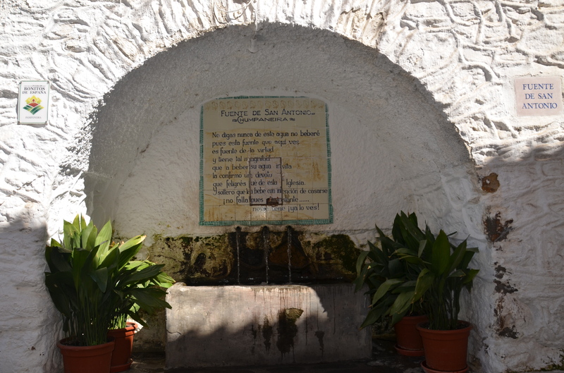 PAMPANEIRA-10-3-2017-GRANADA - Los pueblos más bonitos de España-2010/2023 (59)