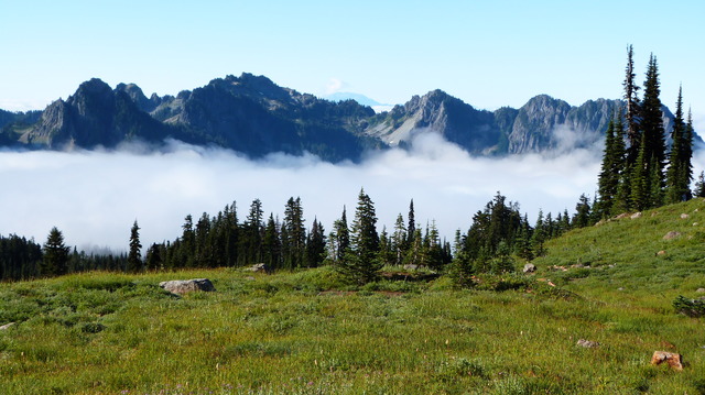 Día 22: Mount Rainier NP - Las maravillas del Noroeste de los Estados Unidos (4)