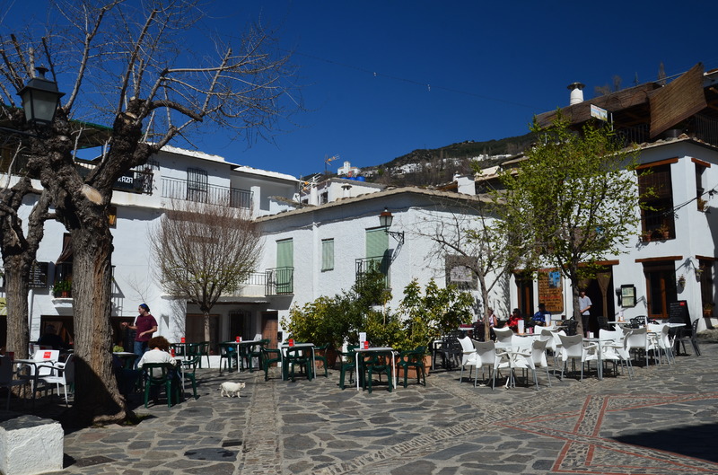 PAMPANEIRA-10-3-2017-GRANADA - Los pueblos más bonitos de España-2010/2023 (12)
