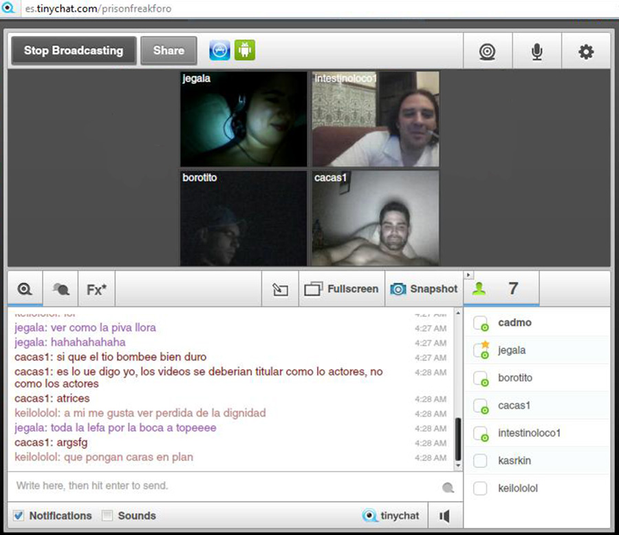 tinychat_pf_12_05_2012_e.jpg