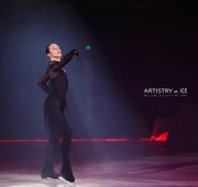 Johnny_WEIR_Artistry_on_Ice_2015_4