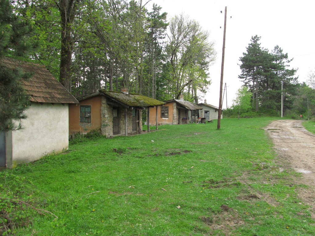 Slika