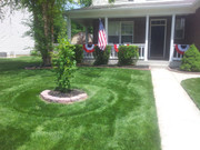 Checkmate lawn striper discount review