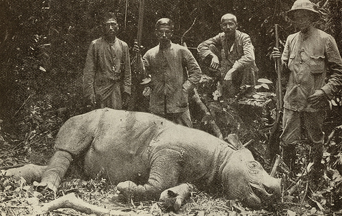 Badak Jawa yang ditembak mati oleh pemburu di Malaya