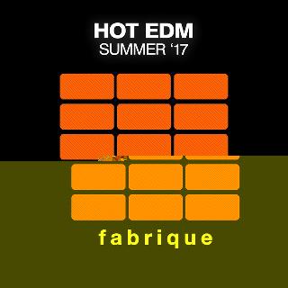 Hot_EDM_Summer_17 (2017) mp3 320 kbps