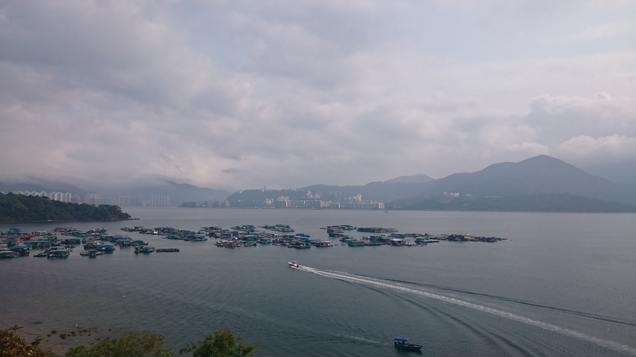 Semana Santa en Hong Kong (2017) - Blogs de China - 15-ABR BOUNCEinc, Tai Po Market, piscina y barbacoa nocturna (8)